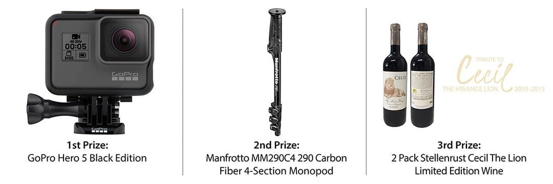prizes